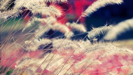 細數(shù)數(shù)控折彎機的優(yōu)缺點